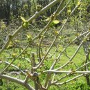 방장산 농장 이미지