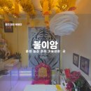 성심로 | 타로? 절? 양? 신기한 체험 가득한 춘천점집, 불이암 다녀왔어요