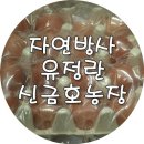 금호농장계란