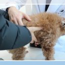 다랑동물병원 이미지