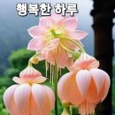 ♡ 동현아, 날로 좀 풀어도! 이미지