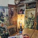 클로버. (clover)37 이미지