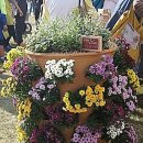 계전농장 이미지