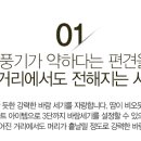 핸디스토리