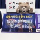 베어리핏 이미지