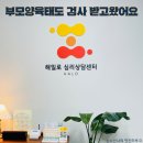 라온심리상담센터 | 직접 다녀온 전주심리상담센터 해일로심리상담센터 솔직 후기
