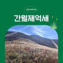 산새사슴농장 | 간월재억새/영남알프스(feat.문재인)