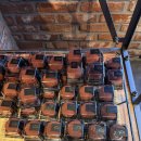 KDK빌딩(김덕규) | 김해 카페｜김덕규 베이커리 명장 빵집 두쫀쿠 두바이쫀득쿠키 구매 후기