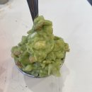 라스또르따스 최자로드 속 제주 타코 맛집 멕시코 남미 음식점 제주 시청 맛집