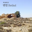 (주)벧엘