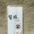귀여운 강아지 | [핫티몰] 귀여운 강아지 핸드폰케이스 추천 미르케이스 사용후기