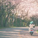 신풍리 사무소 이미지