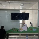 스니퍼(sniffur) 이미지