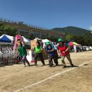 송학야구장 이미지