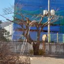 동평여자중학교 네이버블로그