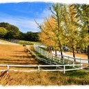 두산목장 이미지