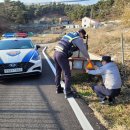 남부파출소 이미지