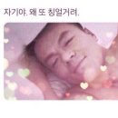 젤리멍 | 경남 애견동반가능 명사해수욕장 [거제도 멍비치] 첨벙 후기 *ೃ༄