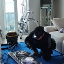 이정만 | 에어컨 청소 하나로 여름 준비 끝! 내돈내산 후기