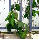 계화중학교 이미지