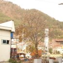 벌용동 사무소 이미지