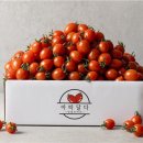 아따달다 연합뉴스