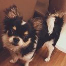 두산당구장 이미지