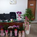 러키 공인중개사 행정사 사무소 이미지