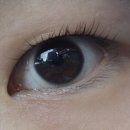 메종뷰티 속눈썹펌&눈썹 이미지