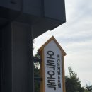 오독오독 반려견유치원 | [원주 애견카페] 천연잔디가 있는 애견동반카페 오독오독 내돈내산 방문후기