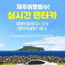 레디카 이미지
