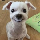 더써드플레이스 이미지
