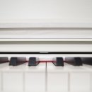 퍼스트원전자 이미지