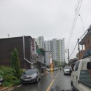 손짜장 이미지