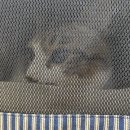 울산 강일웅고양이메디컬센터 이미지