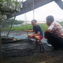 정우농원 이미지