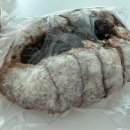 광명역 유기농 빵집 무뚝뚝한 제빵소 치아바타 맛집