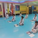 국가대표 S 태권도 이미지