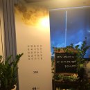 부산대젊음의거리 이미지