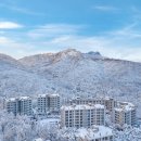 파라스파라 서울 이미지