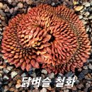 철화