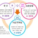 대관령농산물판매 이미지