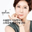스파로제 이미지