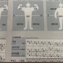 엘케이GYM