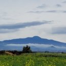 제주무릉도원집 이미지