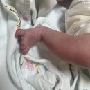 동명산소 | 임신 37주 조기진통 끝, 출산 완료, 자연분만 후기