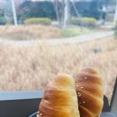 칠암사계 티스토리
