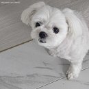 청산공원 이미지