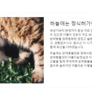 구미포미 이미지