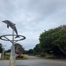 고래의꿈 수족관 | 02.16 오키나와 가족 여행(02/15~16 : 추라우미 수족관, A&amp;W 버거, 철판요리 젠(ZEN), 나하공항, 블루씰...